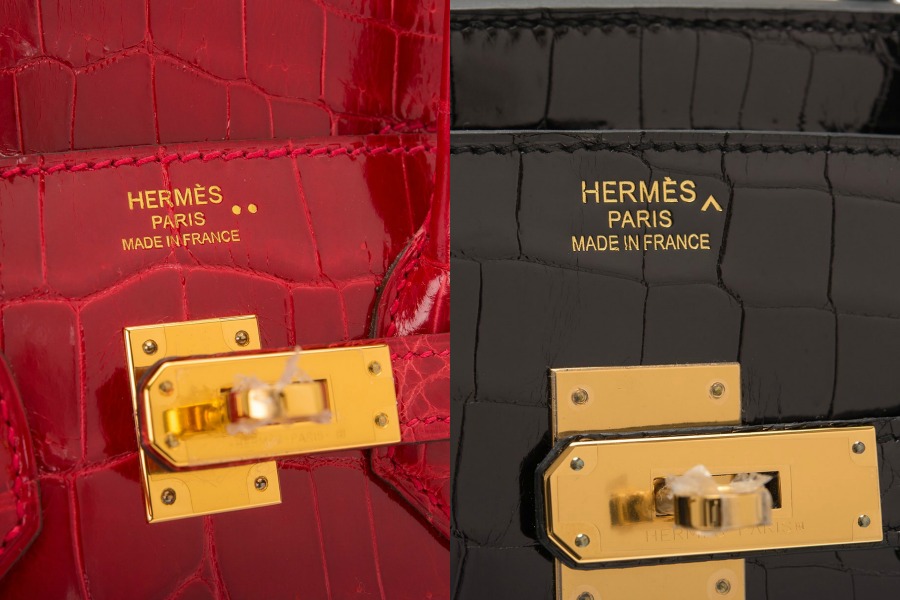 hermes niloticus crocodile