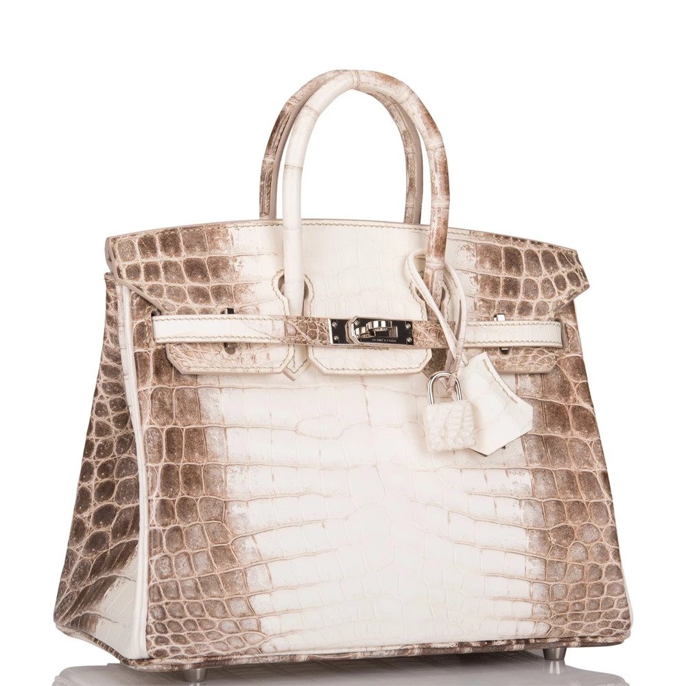 himlayan birkin: Here's why a Hermès Birkin bag has been making headlines -  The Economic Times